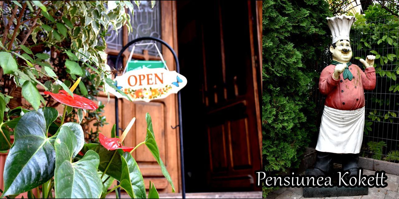 Pension Kokett Câmpulung Exterior photo