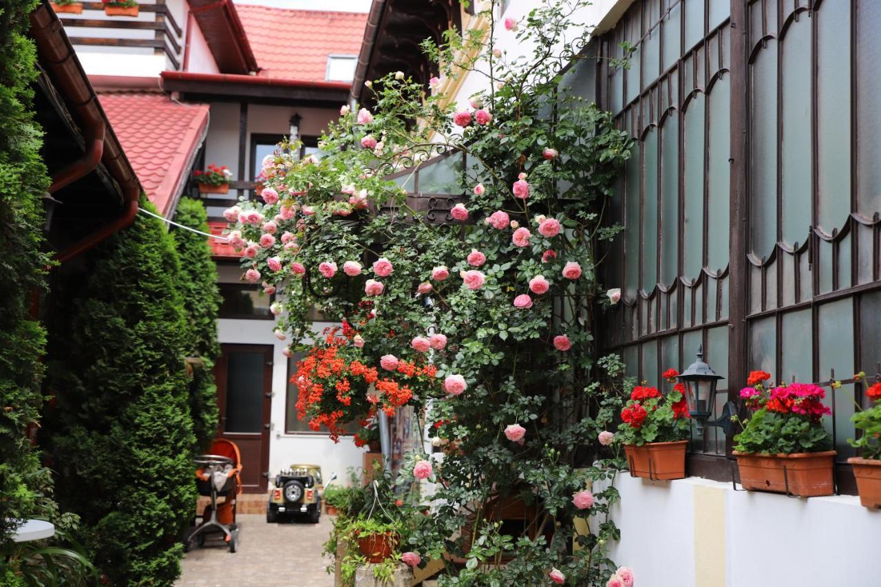 Pension Kokett Câmpulung Exterior photo