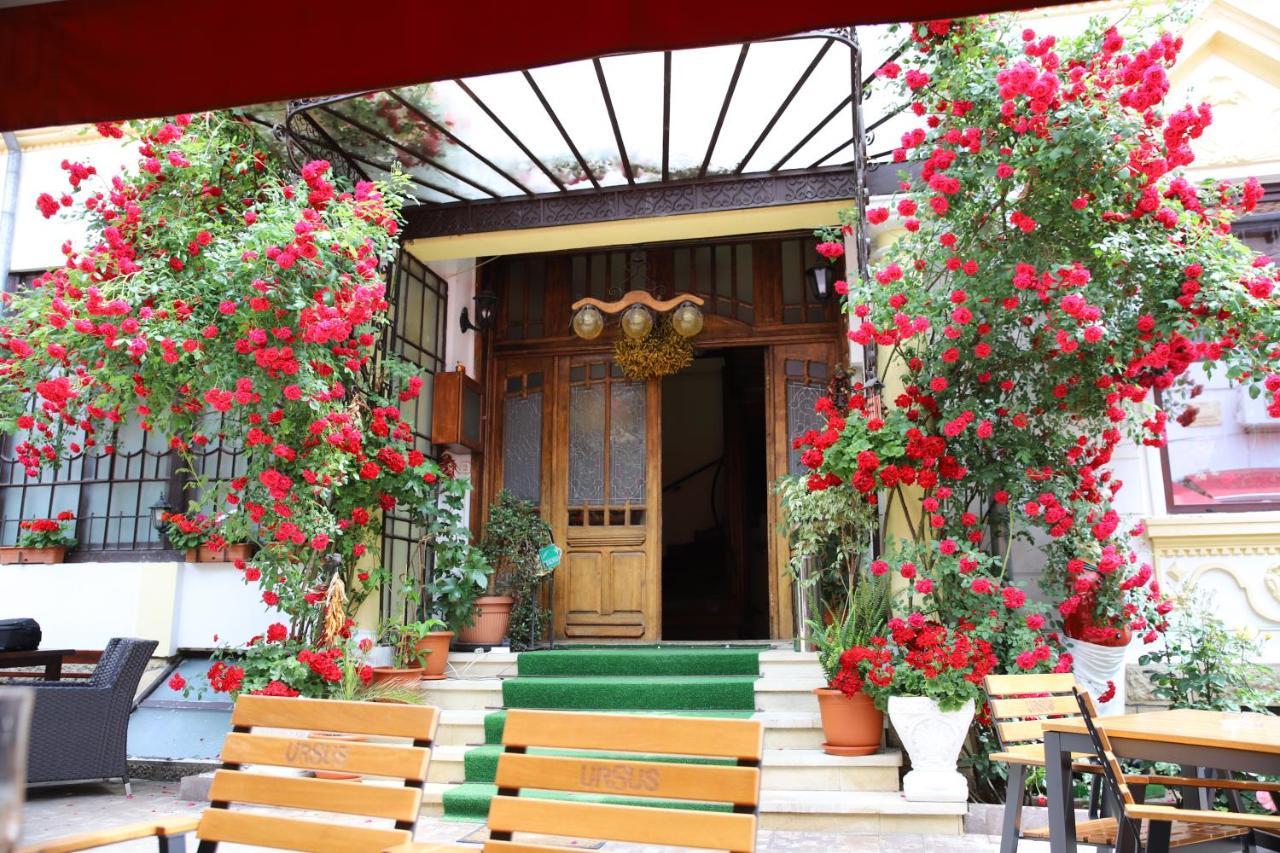 Pension Kokett Câmpulung Exterior photo
